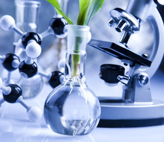 BiotechNews.com.au Celebrates Sixth Year of Publishing Australian Biotech News